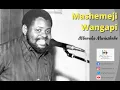 Download Lagu Mashemeji Wangapi by Mbaraka Mwinshehe