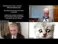 'I’m not a cat': lawyer gets stuck on Zoom kitten filter during court case