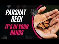 Parshat Reeh 2025 The Choice That Defines Your Life