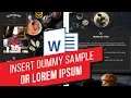 Generate and Insert Lorem Ipsum Text in Word