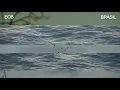 Ed O'Brien - Brasil (Visualizer)