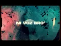 Estoy Mejor  - Reimi Music ft Brayan Booz, Cshalom Video Lyrics