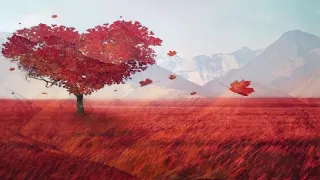 Music Relax موسيقى رائعة تساعد على الدراسة و التركيز و القراءة و العمل 