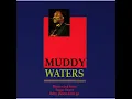 MUDDY WATERS  Baby, Please Don't Go