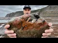 I Had NO IDEA This Nodule Was Full of Fossils
