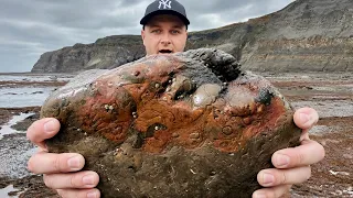 I Had NO IDEA This Nodule Was Full of Fossils