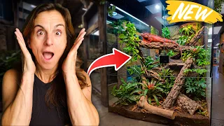 I Built My Iguanas Dream Enclosure in 24 Hours