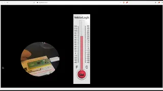 Thermometer