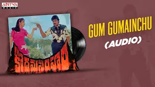 gum gumainchu full song kodama simham chiranjeevi mohan babu radha raj koti