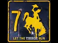 Let the 7Horse Run
