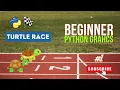 Turtle Race Graphics Project with Python Graphics Beginner Project Crazy Coders