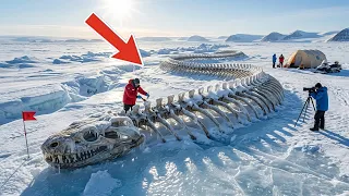 Scientists Discover GIANT SNAKE SKELETON Beneath ANTARCTICA ICE Ancient MYSTERY