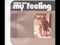 Junior Jack - My Feeling (Kick 'N' Deep)