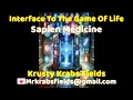 Interface to the Game of Life Sapien Medicine NFT