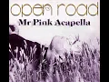 Download Lagu Gary Barlow - Open Road (Mr. Pink Remix Acapella)