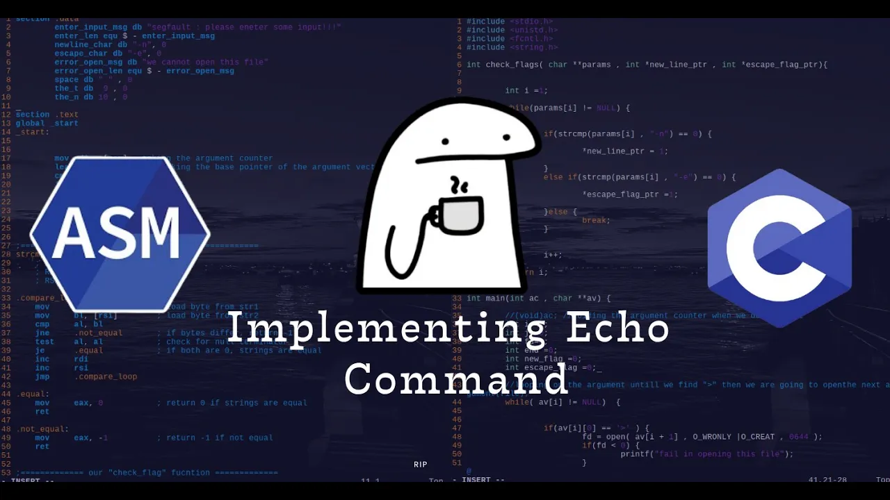 Build Your Own Echo Command in C & Assembly from scratch (Step-by-Step)