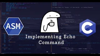 Build Your Own Echo Command in C Assembly from scratch Step-by-Step