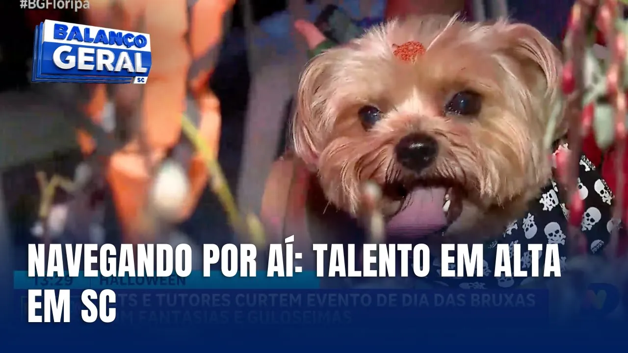 Navegando por Aí: Arthur Moreira Lima, Laura Padaratz, Jorge e Mateus, Floripa que Horror e mais