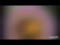 Download Lagu Maya the Bee Intro 1975 (Dutch)