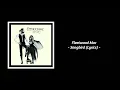 Fleetwood Mac - Songbird