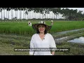 International Women s Day 2023 Maria Fernanda Alvarez scientist working on rice