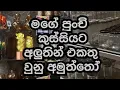ඉදලා හිටලවත් ෂොපින් කරන්න යන්න ඕන නේද?........