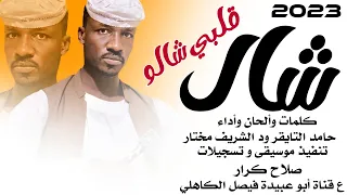 جديد 2023 الفنان المبدع حامد التايقر ود الشريف مختار شال قلبي شالو 