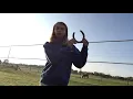 Cleaning and painting over 30 horseshoes Part 1 Only Oakley