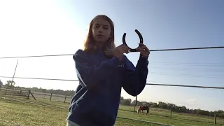 Cleaning and painting over 30 horseshoes Part 1 Only Oakley