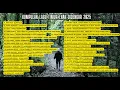 Download Lagu KUMPULAN LAGU TIMUR ENAK DIDENGAR 2025