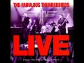 The Fabulous Thunderbirds - Live - 10 She's Tough