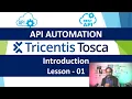 Tosca API Automation - Lesson 01 Introduction What is API Why API Testing API Scan Resources