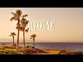 Download Lagu [Free] Reggae Instrumental Type Beat - Riddim 2024