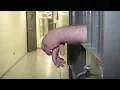 Insights into Northeast Michigan A Look into the Jail Population Part 3
