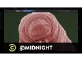 Kate Micucci David Koechner Will Sasso - Electron Microdopes