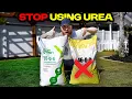 You re Using the WRONG Fertilizer in Spring Do This Instead