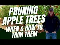How To PRUNE Your Apple Trees for a Bountiful Harvest Next Year