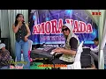 Download Lagu MENJANDA LAGI| Anjani| Amora Nada Entertainment| Musik Dangdut Koplo DJ REMIX Om Akew live saketi
