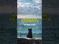 Download Lagu Hakikat Hidup - Ust Hanan attaki #fypシ #motivation #quotes #usthananattakiterbaru #shorts