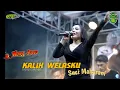 Download Lagu KALIH WELASKU-DENNY CAKNAN (cover SUCI MAHARANI WONG JOWO ft BTS AUDIO Powered by UAP Sound