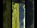 Download Lagu Cinematic Video Shot On 30 FPS Canon 200D is cinematic  Explore