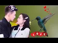 Download Lagu De lieve CP Huang Wenbo en Zhai Yiying zijn een perfect koppel. Hun zoete interacties zijn zo aan...
