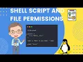 Shell Script and Linux File Permissions IF ELSE For Loop Chmod and Chown