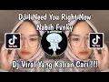 DJ I NEED YOU RIGHT NOW NABIH FVNKY | DJ DONT LET ME DOWN VIRAL TIK TOK TERBARU 2024 !