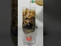 Download Lagu DIY Water Filter #diy #scienceproject #shorts