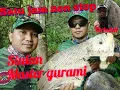 Download Lagu Master pemangil ikan dengan siulan ampuh 1jam nonstop