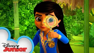 case of the lost treehouse mira royal detective disneyjr