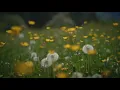What makes Sacramento s pollen season feel like it never ends