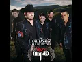 Versos De Mi Alma (Banda Version)