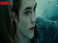 ramy gamal odamy رامي جمال قدامي by  BIBO